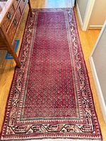 Full-length view of rug on hardwood floor showing overall shape, pattern and wear