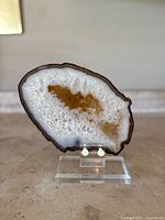 Front view of a polished agate slab showing white crystalline and brownish-yellow internal patterns with a dark natural outline.