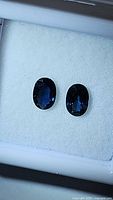 Two oval blue sapphires displayed on white foam background