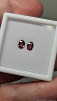 Close-up photo of two oval-shaped sapphires in a white display box, showing deep purple to pink-red hues.