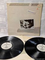 Front view of original Fleetwood Mac TUSK double LP record cover with two vinyl records placed in front, showing the album artwork, wear, and condition of the vinyl discs.