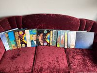 Front view of 17 vinyl LP records arranged on red velvet couch, showing spines and cover artwork of various classic rock and country artists.