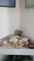 Shelf display of various large natural shells and coral pieces including white conch shells and branching coral.