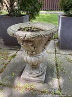 Front view of ornate gray concrete urn planter placed on stone patio with leafy plants in background. Shows detailed floral sculpting and pedestal base.
