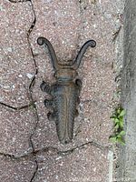 Top view of the Iron Art cast iron shoe jack shaped like an insect, showing detailed embossed design and curved prongs for shoe removal.