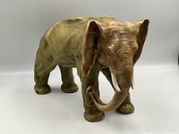 Front three-quarter view of elephant showing head, trunk and front legs