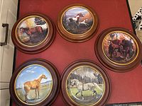 Top view showing all 5 framed horse collector plates arranged on red surface, details of artwork visible