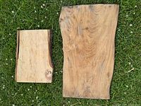Top view of two live edge wood slabs laid on grass showing natural wood grain, size variation, and live edges.
