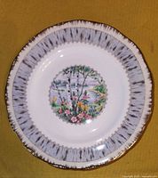Single Royal Albert Silver Birch side plate showing birch tree and flower design with gold trim