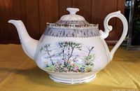 Side view of Royal Albert Silver Birch tea pot showing landscape design and spout