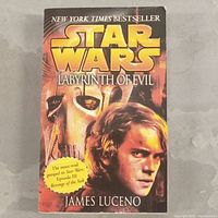 Front cover of 'Star Wars Labyrinth of Evil' paperback book by James Luceno showing main cover image and text.