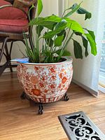 Photo showing the ceramic pot with a large live plant inside and the black metal stand beneath, placed on wooden flooring near a window.