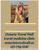 Close-up photo of a golden retriever dog yawning with text overlay advertising travel vaccines and medication from Ontario Travel Well travel medicine clinic, includes website and phone number.