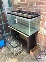 Main and smaller tanks, wooden stand, blue canister filter visible