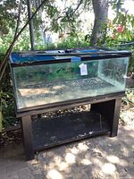 aquarium on stand outdoors full view