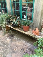 Wide shot of bench displaying all potted plants and animal-shaped planter