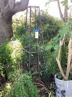 Full view of metal trellis among shrubs