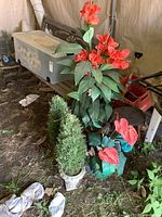 Photo showing the pair of faux cedar trees, tall faux plant with red-orange flowers, and another faux plant with red heart-shaped flowers arranged on earth ground indoors.