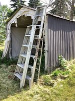 8 ft aluminum step ladder leaning against a shed, visible in natural outdoor setting with grass and trees around. Ladder shows minor surface wear.