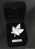 Front view of the sterling silver maple leaf brooch inside a black velvet box with a 'STERLING SILVER' sign.