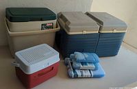 Photo showing Rubbermaid, Coleman Oscar, and Thermos double coolers with three blue freezer packs in front, against a wall.
