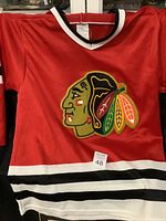 Front view of red Chicago Blackhawks hockey jersey with embroidered Indian head logo on chest and black and white stripes on lower part of the jersey.