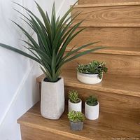 Wide view of tall artificial plant next to stairs with five smaller artificial succulents in various planters on wooden steps.
