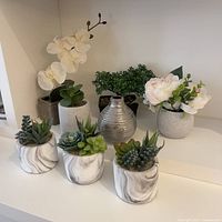 Wide view of all artificial plants arranged on a shelf, showing variety of pots and plants including succulents, orchids, flowers, and decorative silver vase