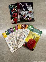 Collection of 11 vintage magazines laid flat, with 2 Better Homes and Gardens in the back and 9 Flower and Garden issues laid out in front.
