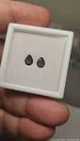 Two pear cut sapphires in a display box showing dark purple pink color.