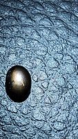 Close-up photo of a single oval cabochon black star sapphire gemstone on a textured dark surface showing natural asterism (star effect).