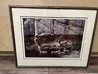 Framed print showing Canada geese family with goslings swimming in water with rock background.