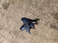 Front view of hummingbird shaped pin showing stone inlay and metal outline.