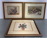 Three framed bird lithograph prints by Roger Tory Peterson arranged on a grey surface, showing various bird species and surrounding foliage, with gold-tone frames and beige mats.