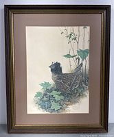 Full view of the framed lithograph print showing the bird artwork and frame.