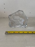 Front view of the clear glass paperweight with two koalas on a branch and measurement tape showing approx. 3.5 inches width.