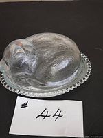 Full view of cat on nest dish with beaded rim