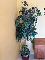 Full view of artificial Ficus tree standing against a beige wall, showing fabric/plastic leaves and wooden trunk, square maroon decorative base with greenery around the tree base.