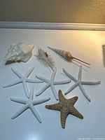Lot of six starfish and three seashells on a table, showing all items together.