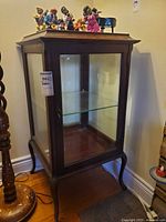 Full frontal view of glass curio cabinet showing door, glass panels, shelf and legs