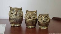 Front view of all three brass owl figurines