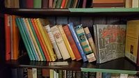 Shelf with pastel Catholic Knowledge volumes, assorted hardcovers, sports softcover visible