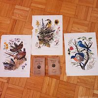 Top view of three vintage bird prints with colorful birds and some yellowed edges, alongside two aged paperback books with worn covers.