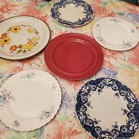 Overview of all 6 vintage plates showing various floral and solid color designs with scalloped edges.