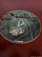Front view of Blue Gills fish collector's plate depicting underwater scene with two fish and aquatic plants. Plate has gold edge trim.