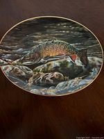 Top view of the plate showing detailed Brook Trout artwork under glossy finish with a gold rim.