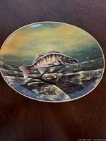 Top view of the porcelain decorative plate depicting a Walleye fish in an underwater scene with rocks. The plate is small with a detailed colored illustration and a glossy finish.