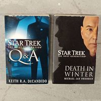 Two Star Trek The Next Generation paperback novels: 'Q&A' by Keith R.A. DeCandido and 'Death in Winter' by Michael Jan Friedman. Covers visible, showing some wear.