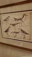 Full view of framed sandpiper etching showing six birds and frame