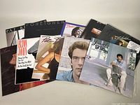 All 10 vinyl albums spread out showing various artists and album covers